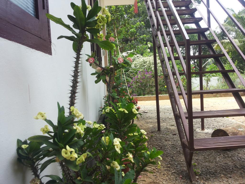 Athens Cottage ムンナール エクステリア 写真